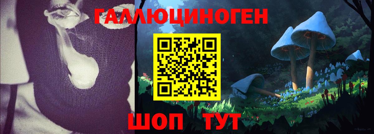 Псилоцибиновые грибы Psilocybe Углич