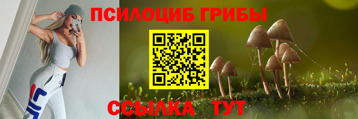 Псилоцибиновые грибы MAGIC MUSHROOMS  Вход с VPN  Углич 